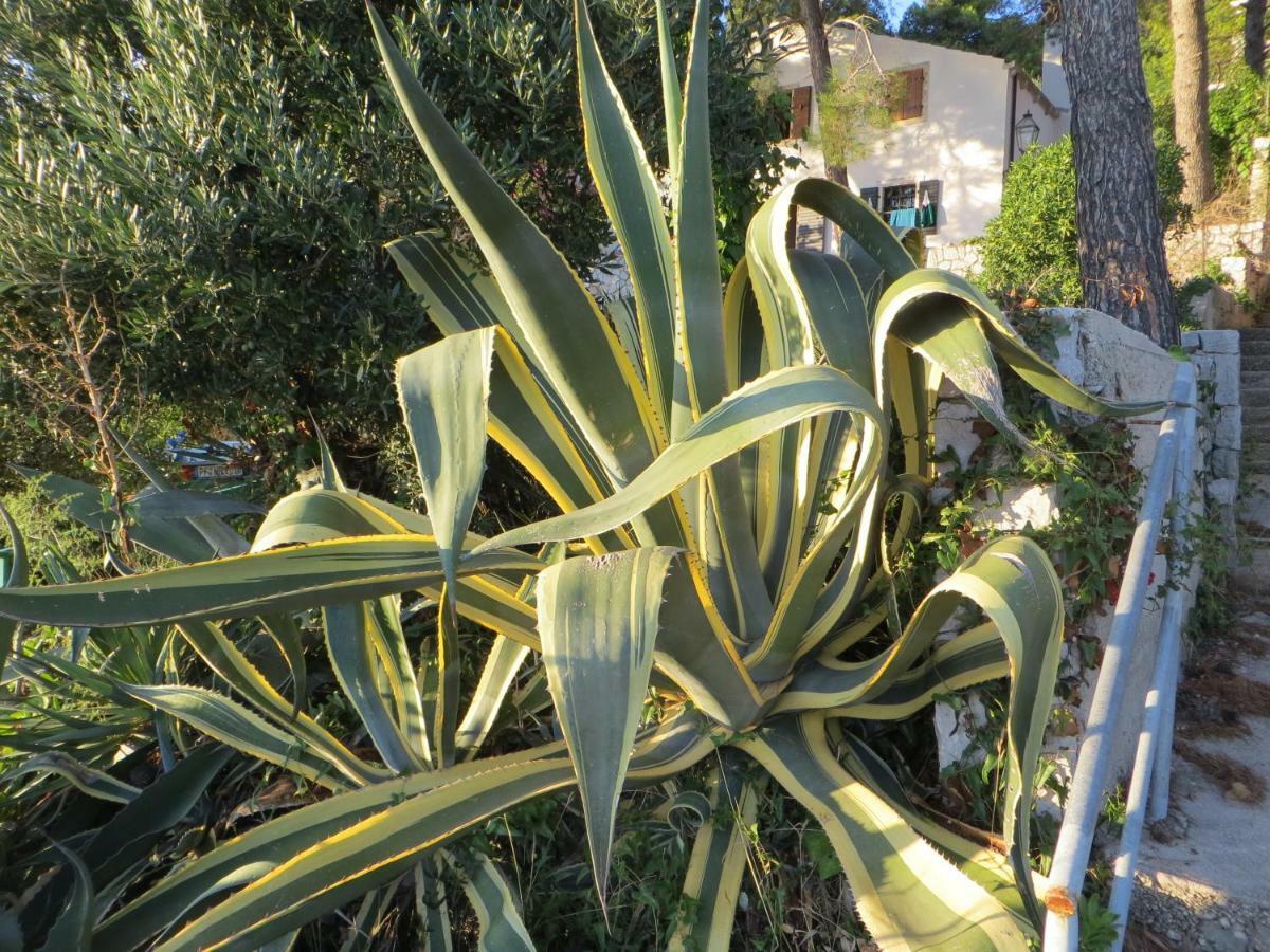 Apartment Sunshine Mali Lošinj Exterior foto